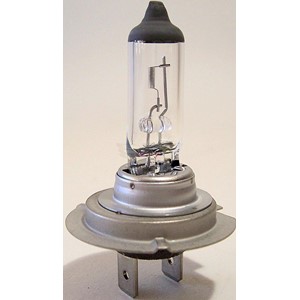 1800 12V 55W Standard Headlight Bulb