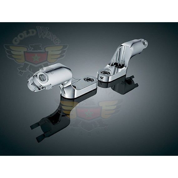 PASSENGER PEG MOUNT FOR V-ROD 